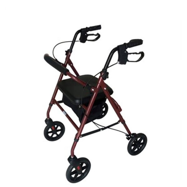 4-wheel walker