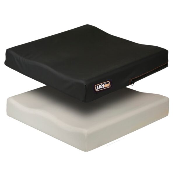 Jay Go Cushion
